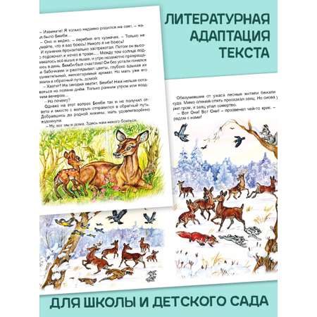 Книга Алтей Бемби