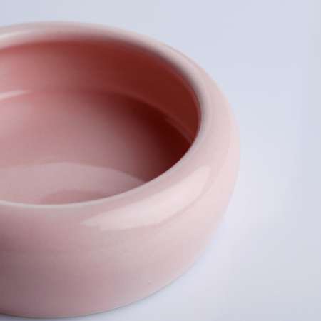 Миска Пижон керамическая 110 мл нежно-розовая
