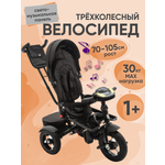 Велосипед трехколесный ZigZag LUX черный