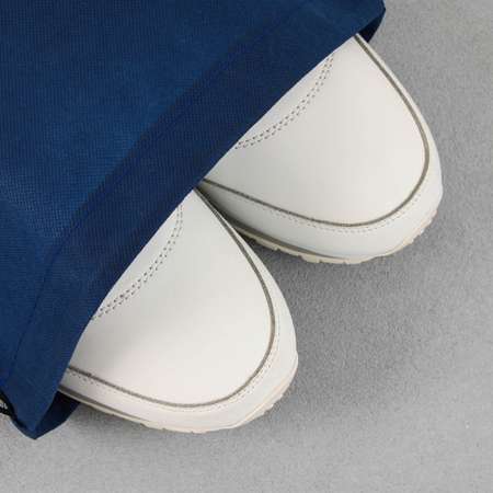 Сумка ArtFox STUDY для обуви «Чемпион» нетканное полотно размер 41х31 см