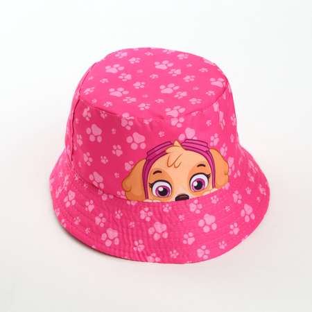 Панама Paw Patrol