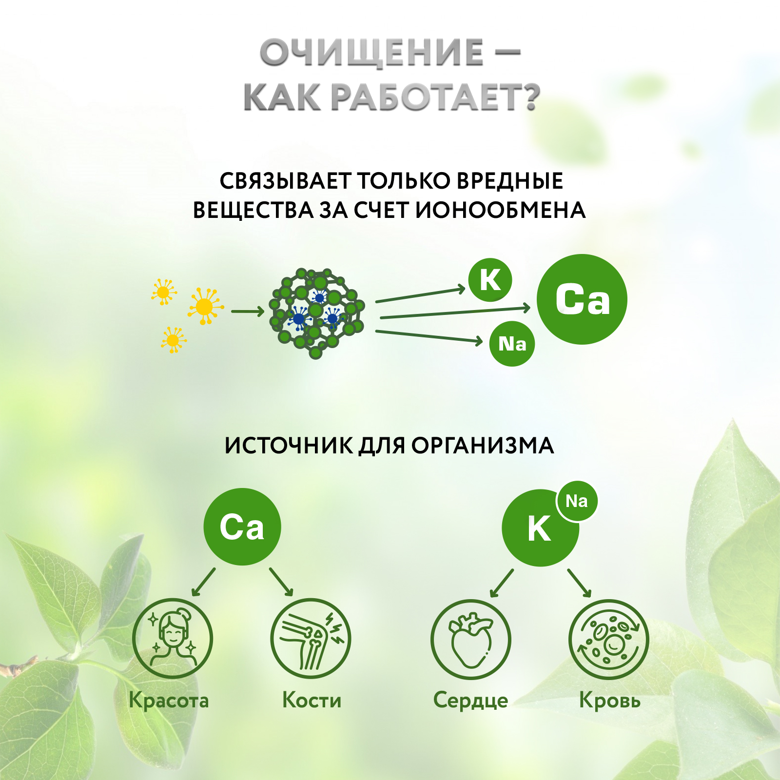 ЦЕОЛИТ природный Zeo Detox сорбент для очистки организма от токсинов и шлаков, 400г - фото 4