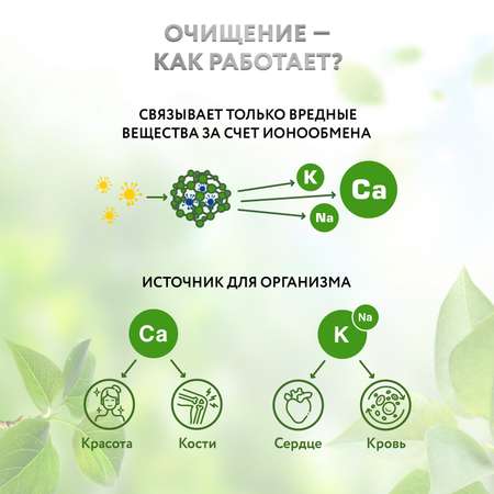 ЦЕОЛИТ природный Zeo Detox сорбент для очистки организма от токсинов и шлаков, 400г