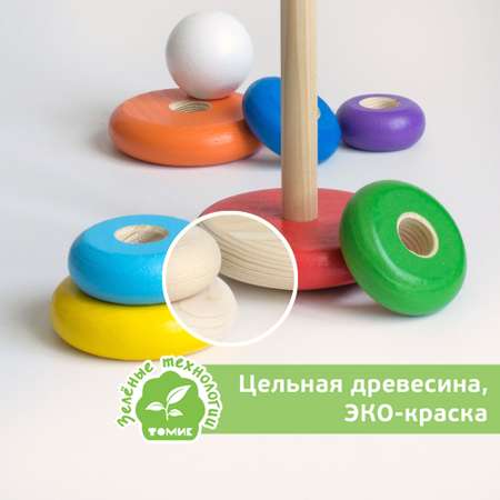 Игрушка Томик пирамидка Радуга