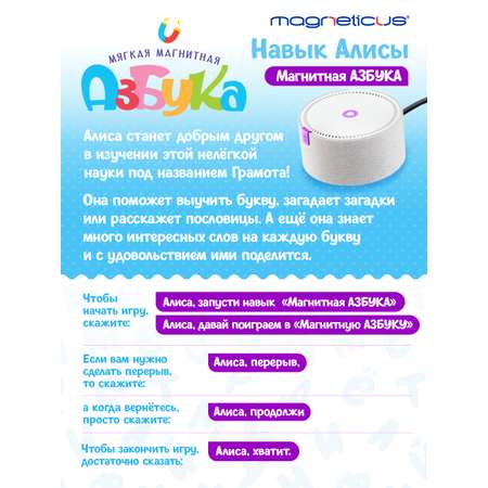 Настольная игра MAGNETICUS