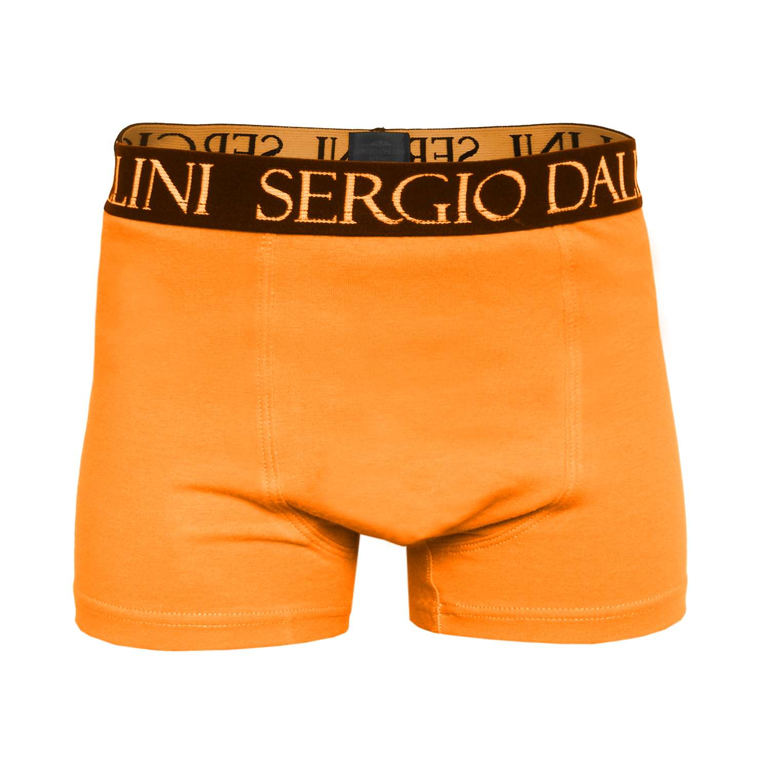 Трусы-боксеры SERGIO DALLINI SG600-5 - фото 3