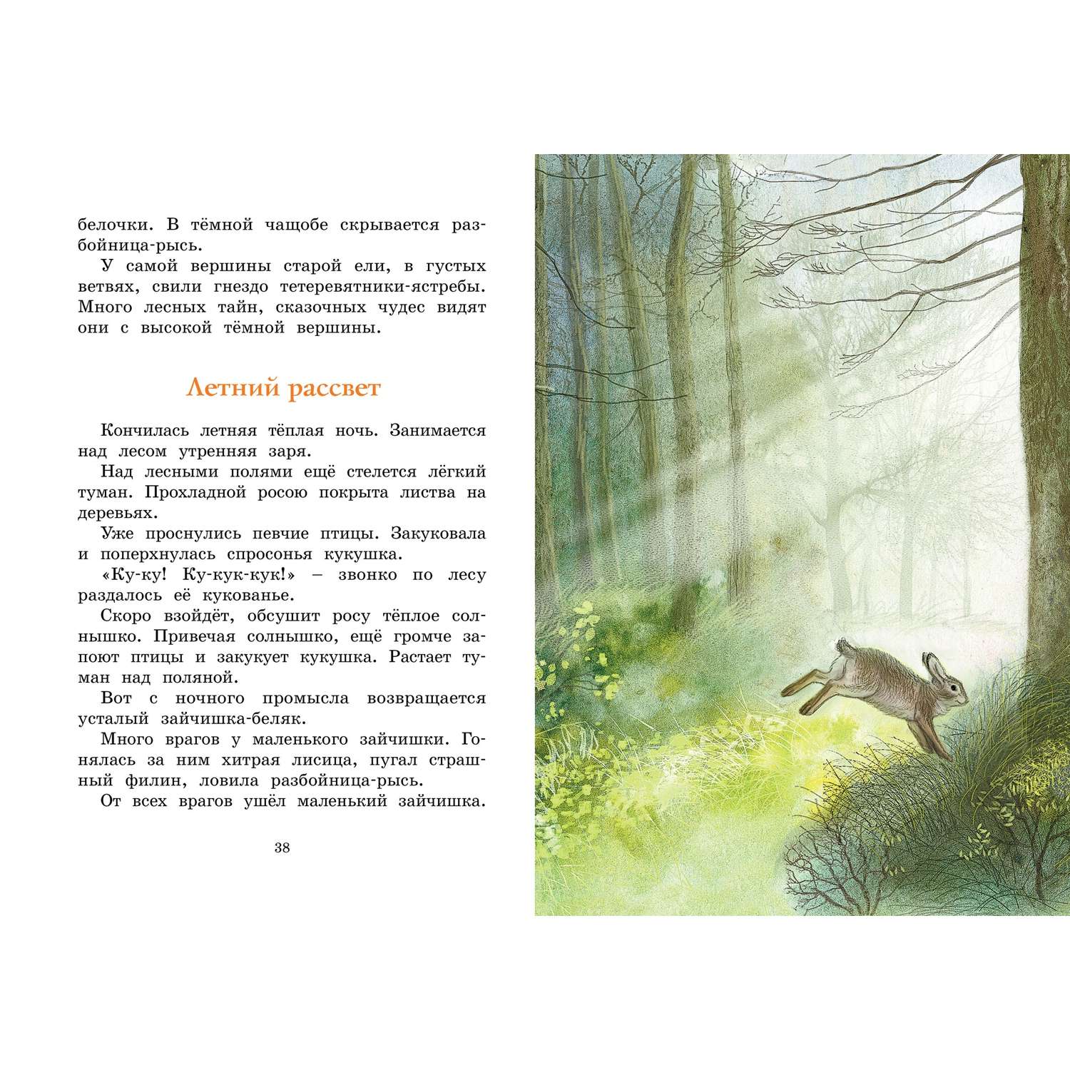 Маленький рассказ в лесу. Соколов Микитов год в лесу.