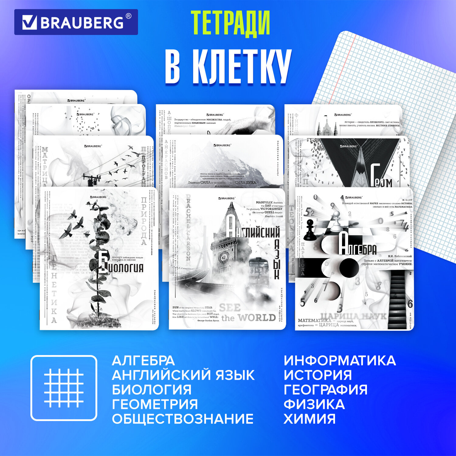 Тетради предметные Brauberg набор 48 листов в клетку и линейку 12 штук  купить по цене 848 ₽ в интернет-магазине Детский мир