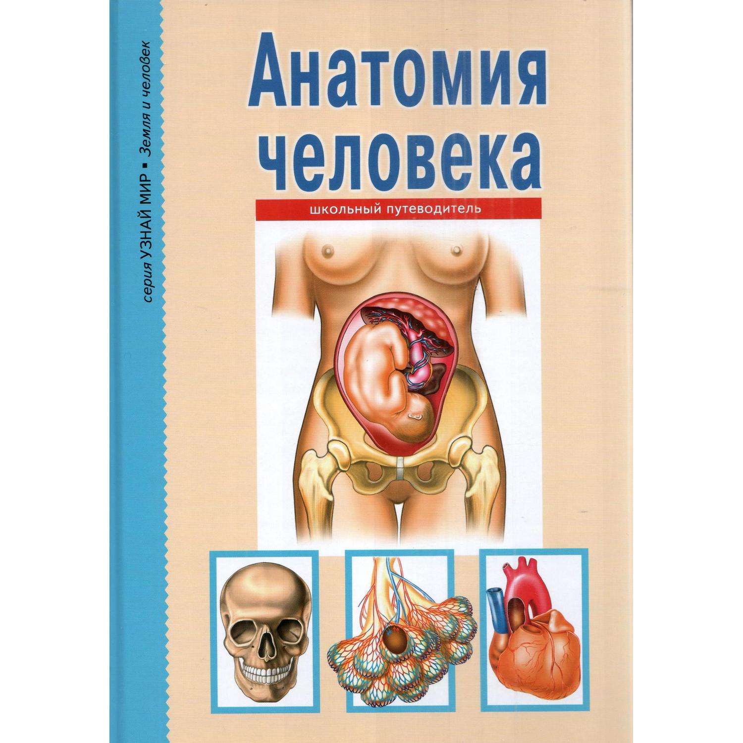 Книга Лада Анатомия человека Школьный путеводитель - фото 1