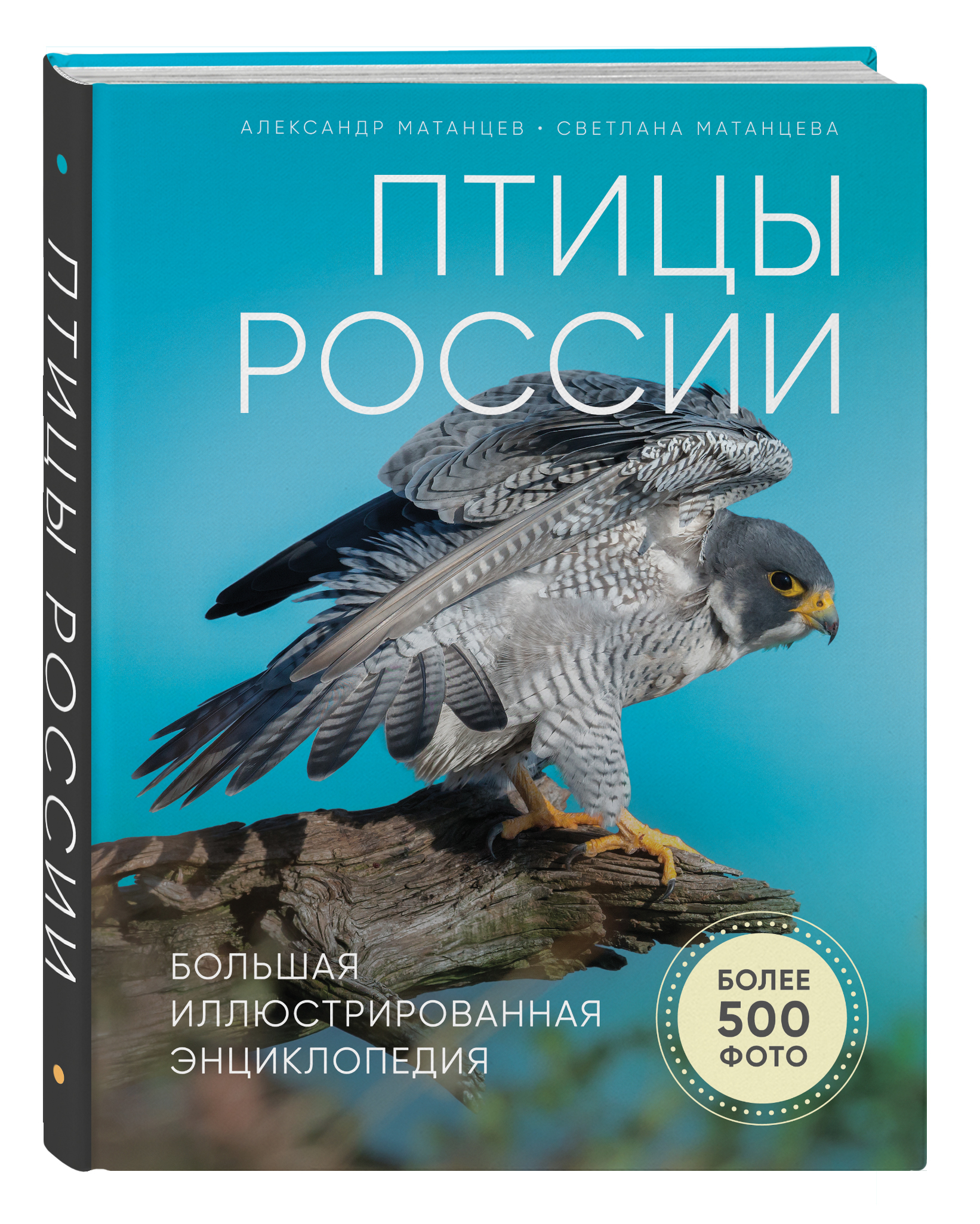 Книга ЭКСМО-ПРЕСС Птицы России Большая иллюстрированная энциклопедия - фото 1