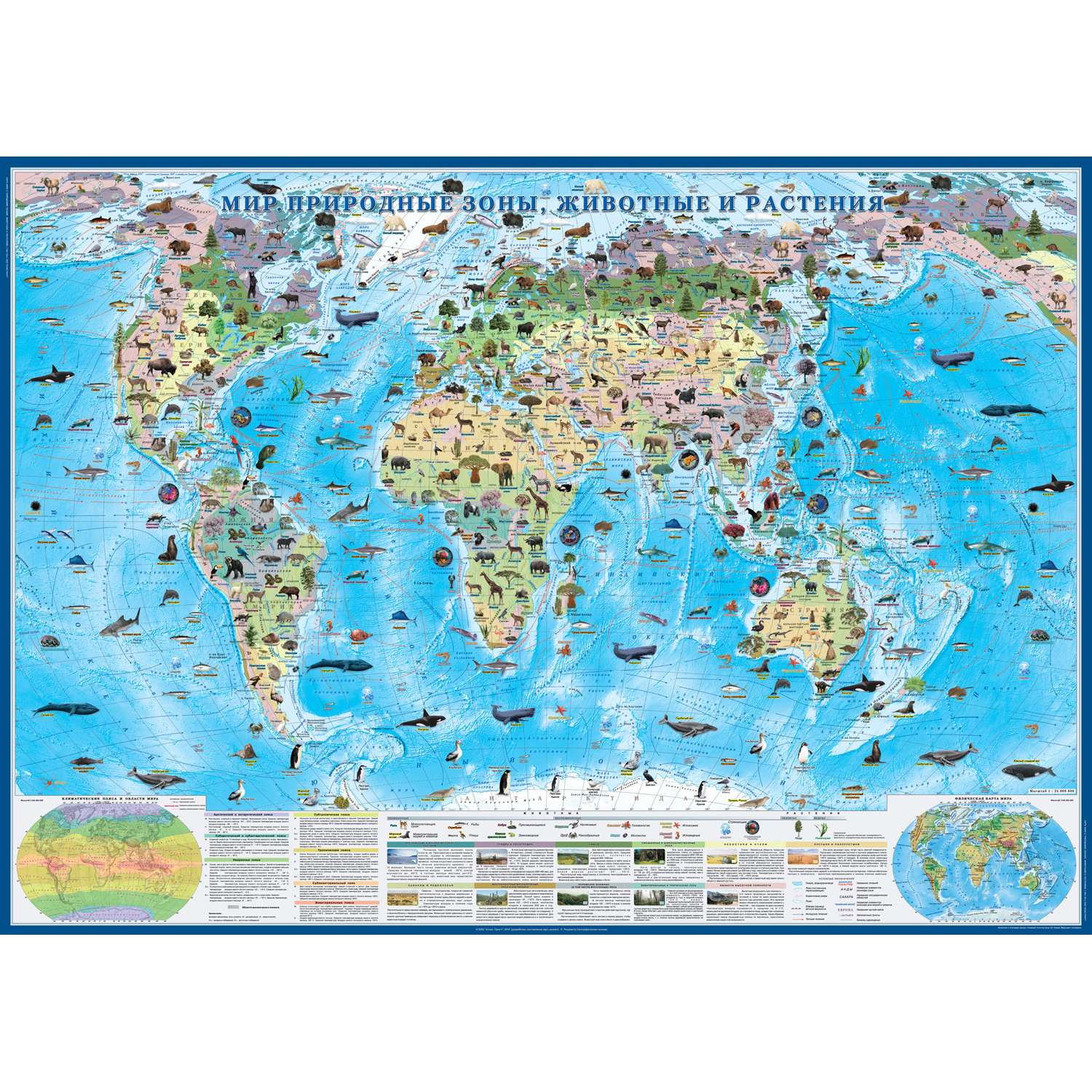 Карта настенная Атлас Принт Мир. Природные зоны животные и растения 1.43x1.02м - фото 1