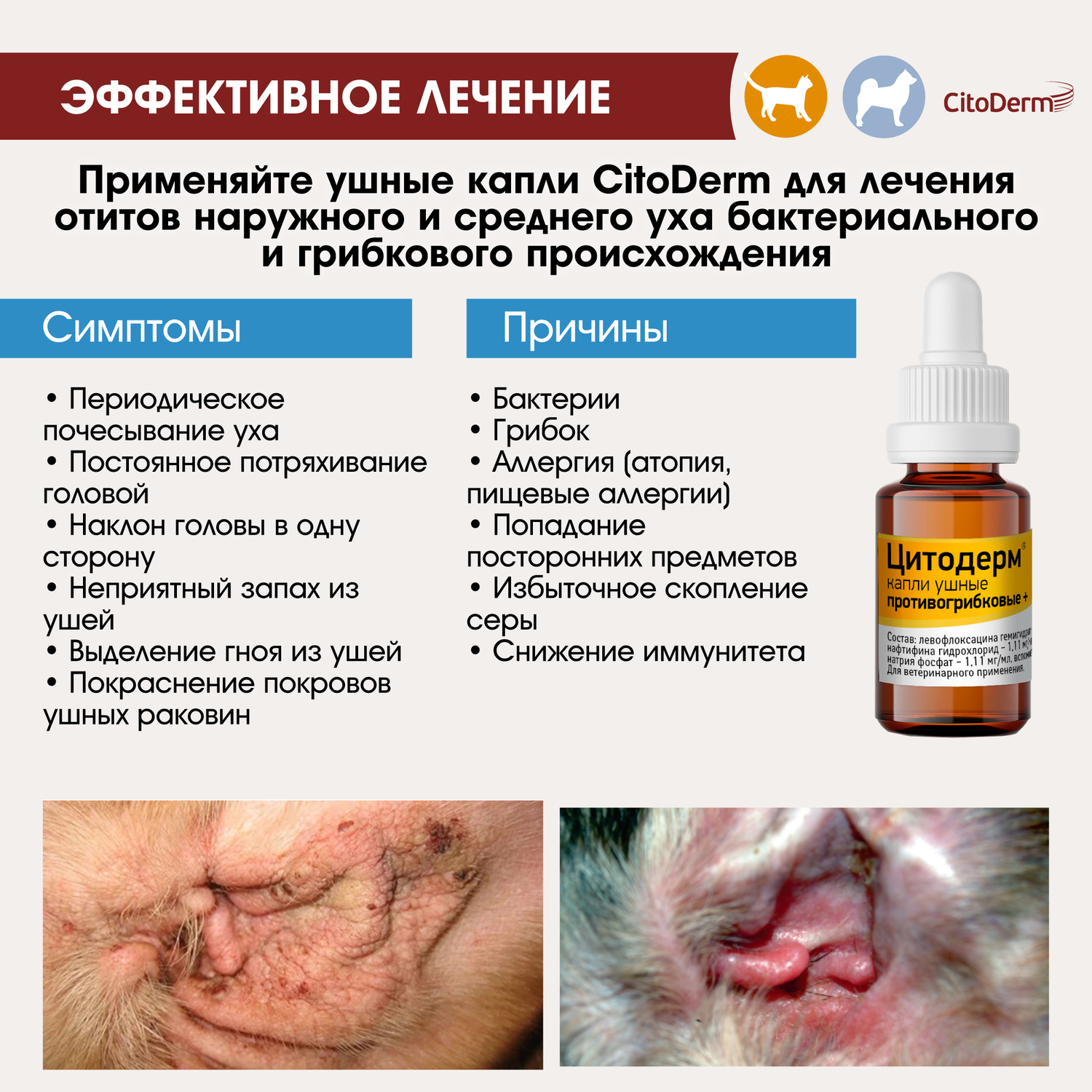 Капли ушные для животных CitoDerm противогрибковые+ 10мл - фото 5