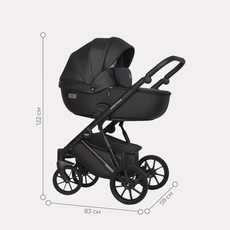 Коляска 2в1 Riko Basic Montana Ecco 12 Black Черный