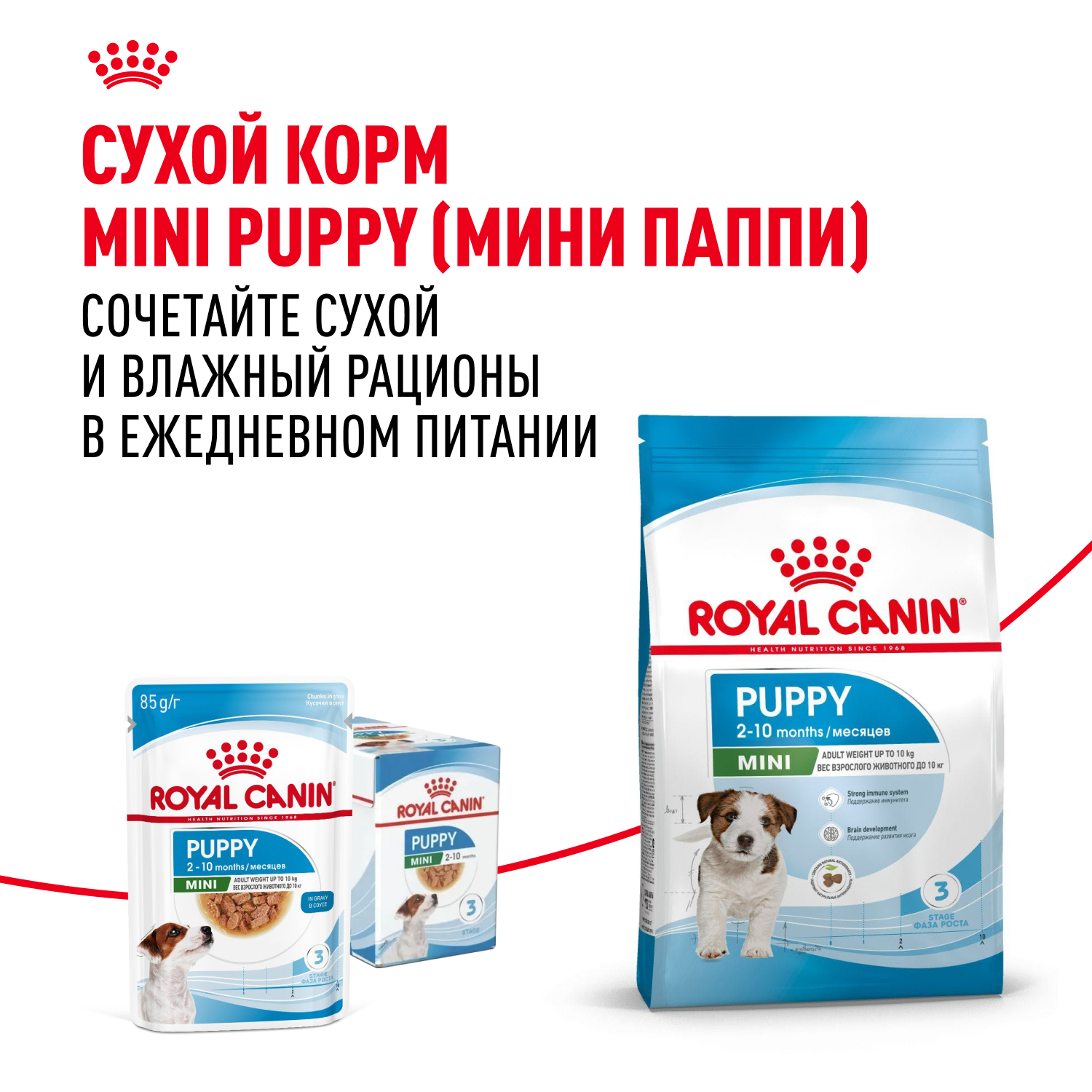 Корм для щенков Royal Canin Mini Puppy мелких пород до 10 месяцев кусочки в соусе пауч 85г - фото 9