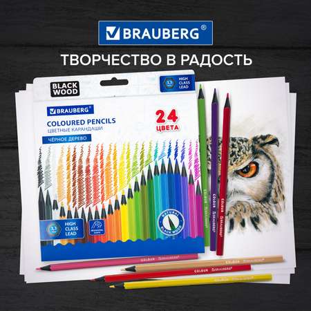 Карандаши цветные Brauberg деревянные для рисования 24 цвета