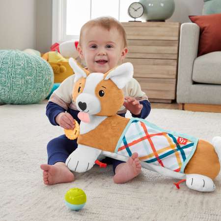 Игрушка Fisher Price Puppy Tummy Wedge