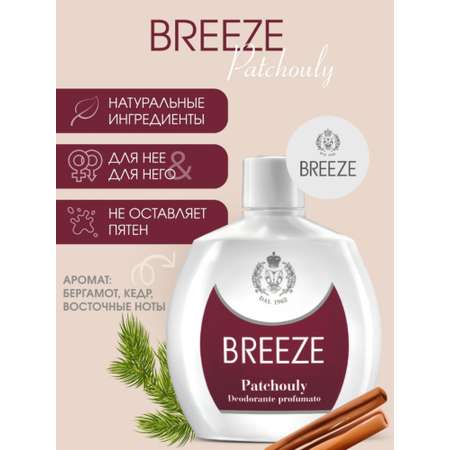 Парфюмированный дезодорант BREEZE Patchouly 100мл