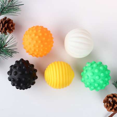 Набор мячей Пушистое счастье для собак «Для самых весёлых пёселей» 5 мячей