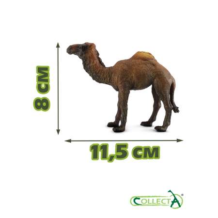 Игрушка Collecta Одногорбый верблюд фигурка животного