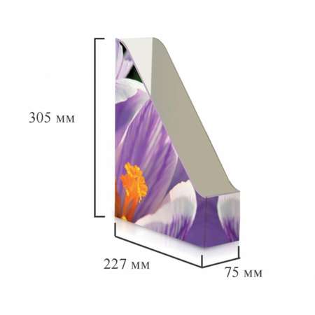 Вертикальный накопитель Attache Selection Сrocus 75мм 2 штуки в упаковке ламинированный картон