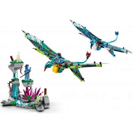 Конструктор LEGO Avatar Jake and Neytiri’s First Banshee Flight 75572