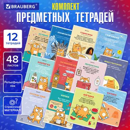 Тетрадь Brauberg 48 лист. 12 шт.