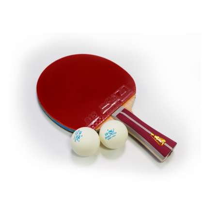 Набор для настольного тенниса Double Fish 2А+С ракетка и 2 мяча