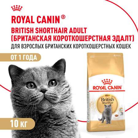 Корм сухой для котят ROYAL CANIN British Shorthair 10кг породы британской короткошерстной