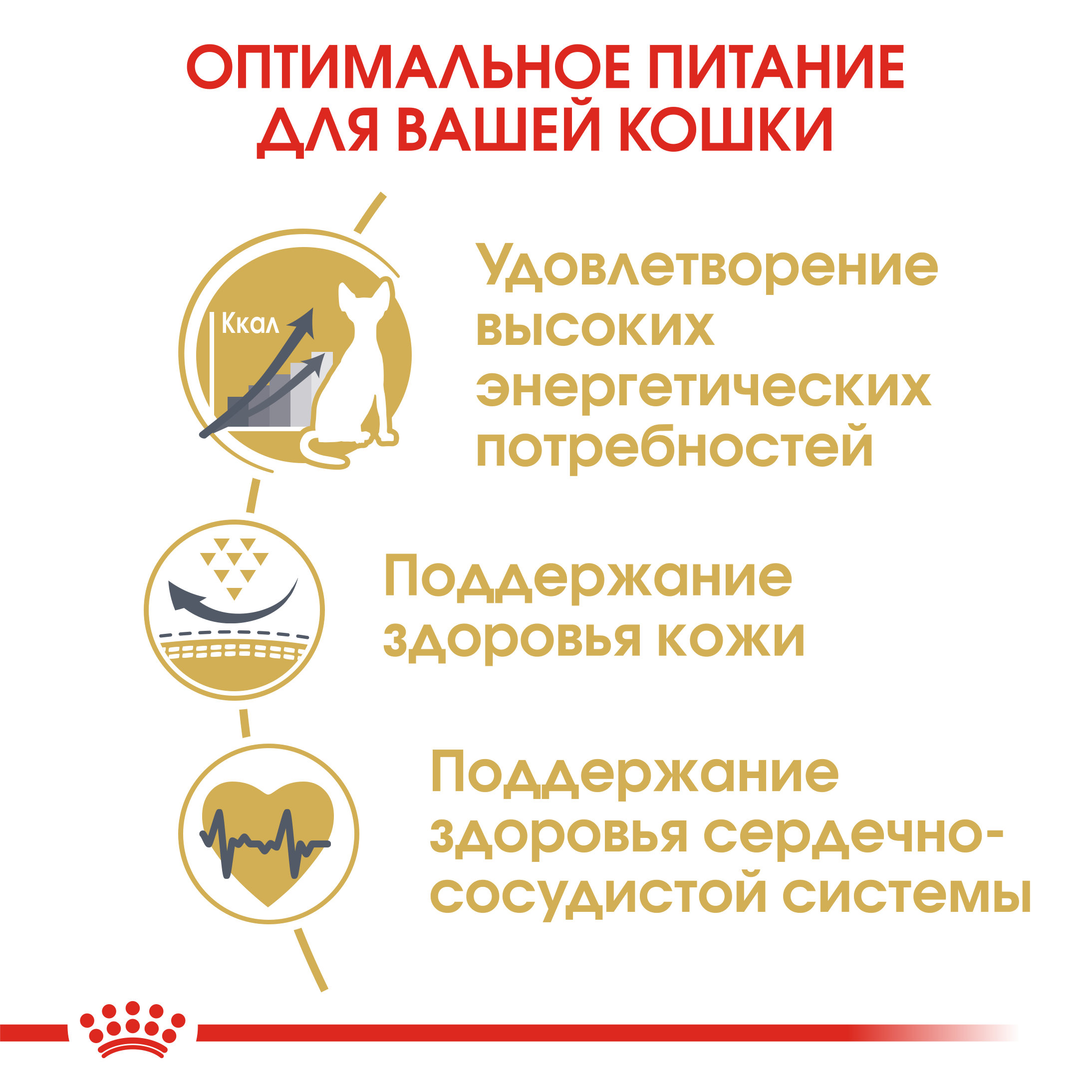 Сухой корм для кошек ROYAL CANIN 0.4 кг (полнорационный) - фото 5