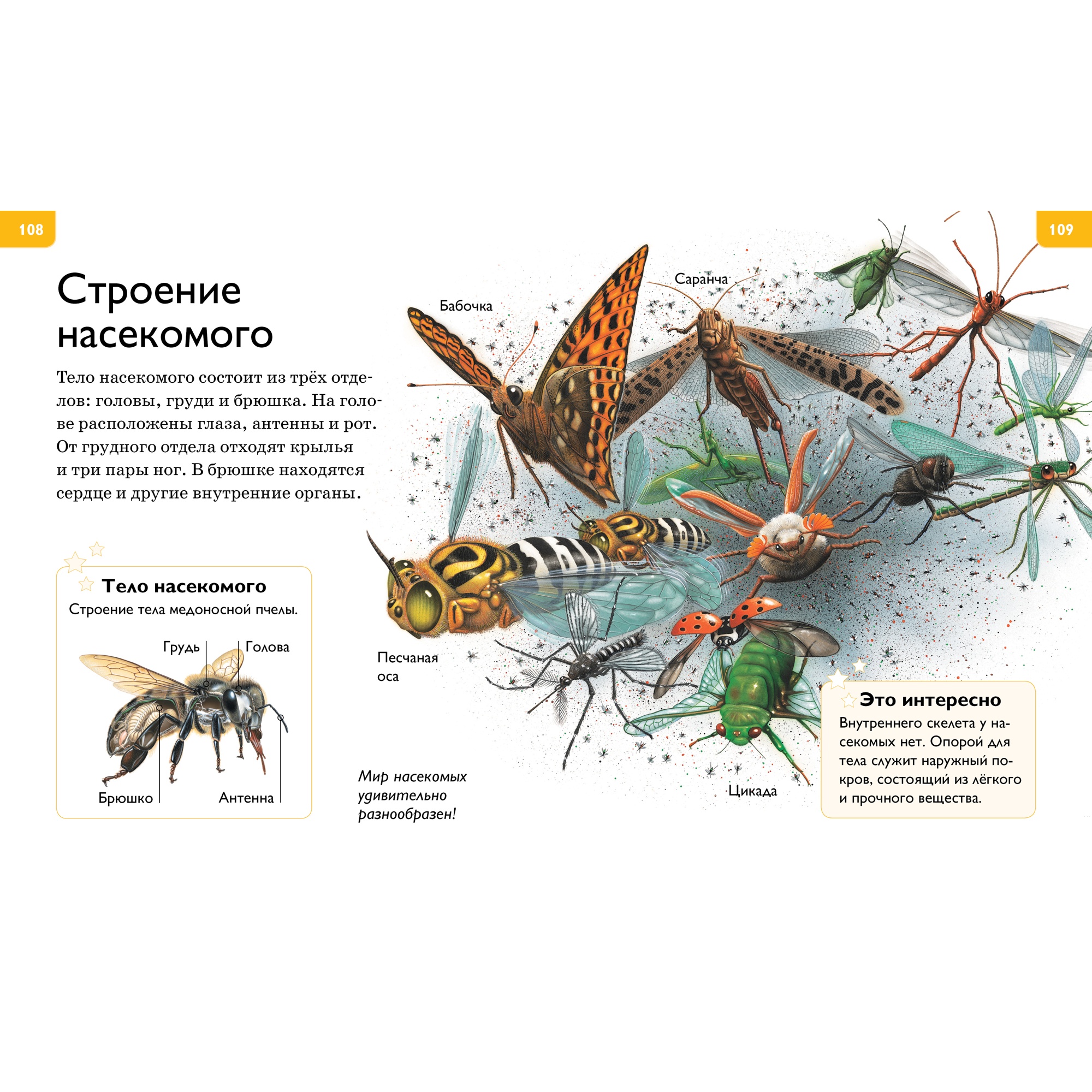 Книга МАХАОН Большая энциклопедия для любознательных Коуп Р. - фото 5