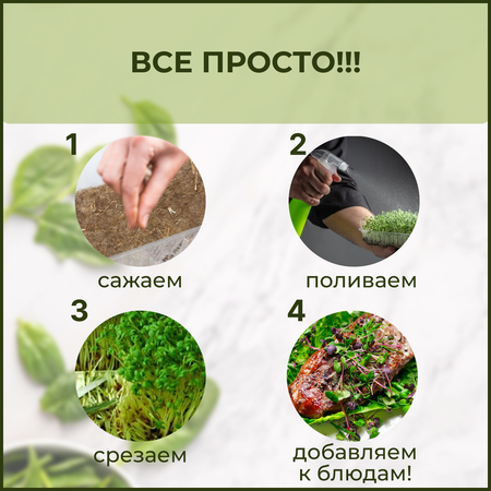 Набор для выращивания mGreen's Шаг 1. Премиум.