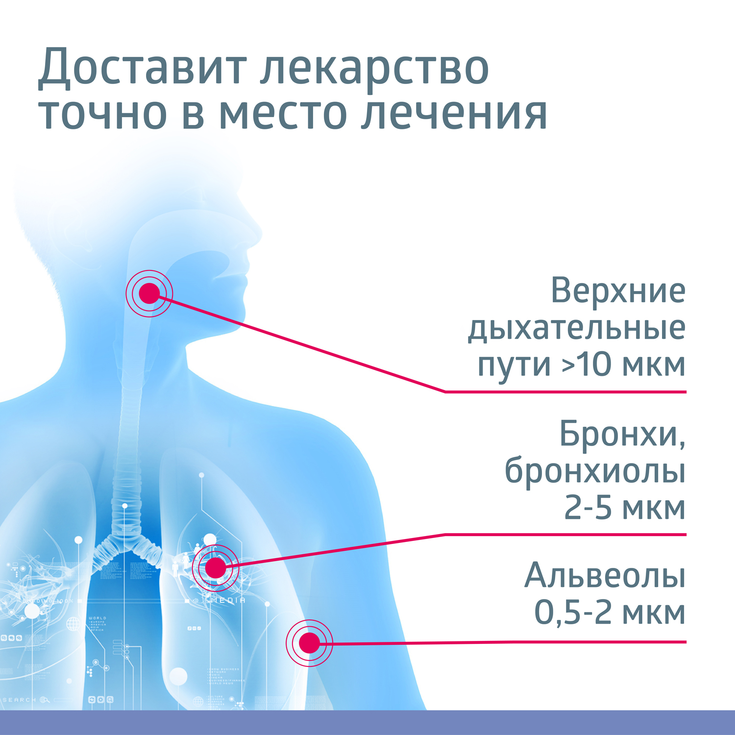 Ингалятор B.Well медицинский PRO-115 - фото 4