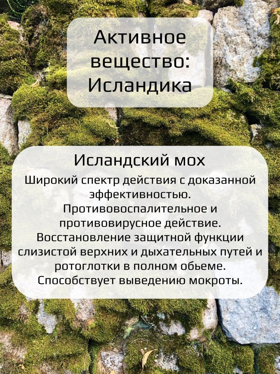 Комплекс TERRA для легкого дыхания Just Breath Исландика 60 капсул - фото 2