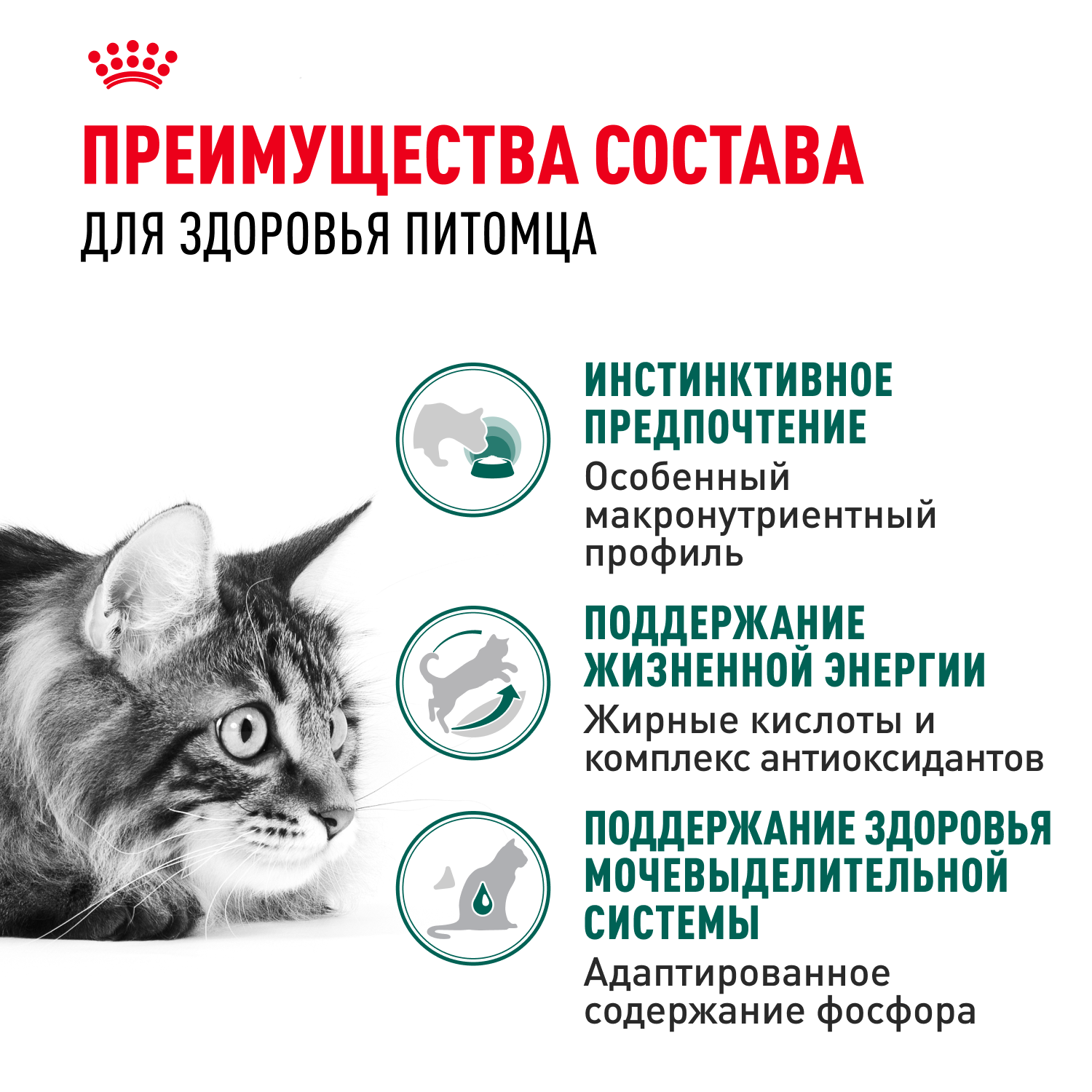 Корм для кошек ROYAL CANIN Instinctive 85г для пожилых 7+ соус пауч - фото 3