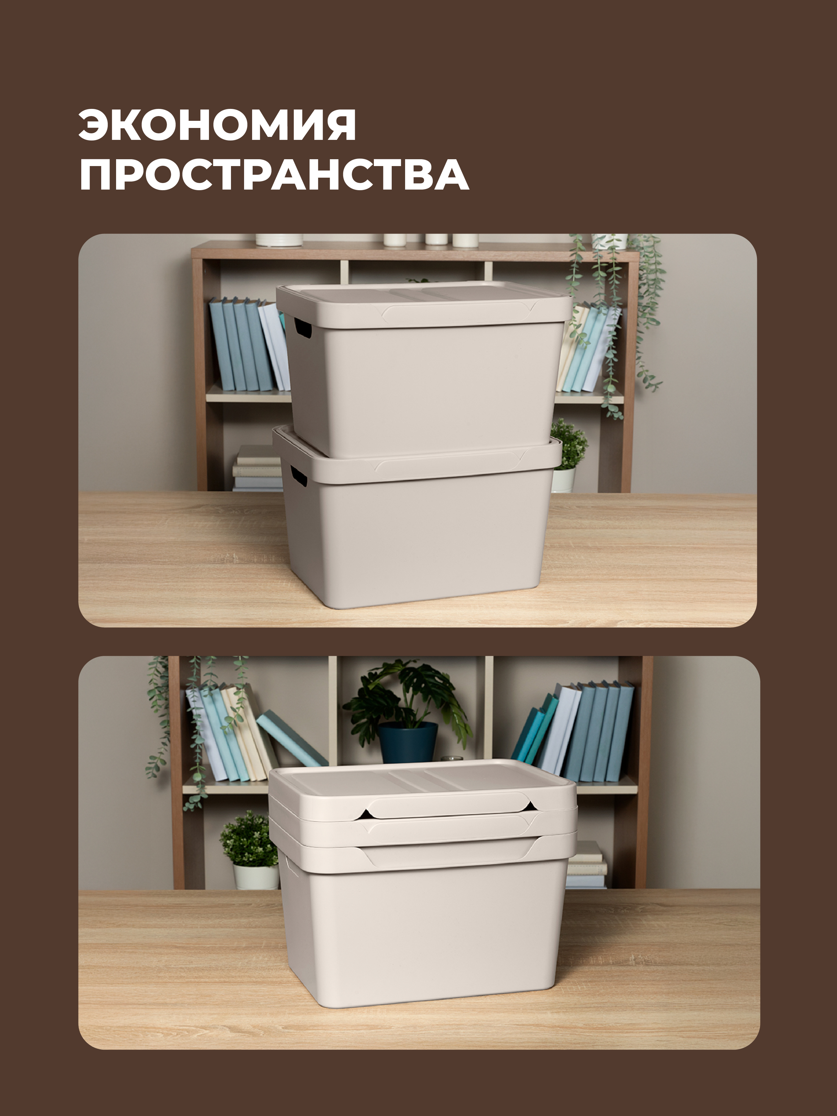 Набор ящиков с крышкой Econova Универсальные 38х27,6х22 см 18л - фото 4