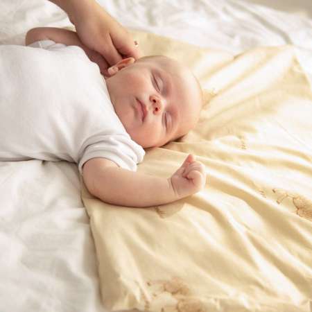 Подушка AmaroBaby нестеганая для младенцев сладкий сон Шерсть поплин 40х60