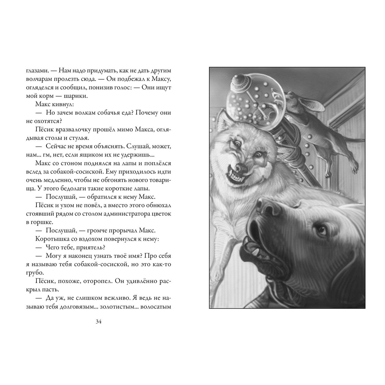 Верный автор. Верные Кристофер Холт. Книга верные Кристофер Холт 1 книга. Кристофер Холт верные книга 2. Верные. Книга 1. когда исчезли все люди Кристофер Холт книга.