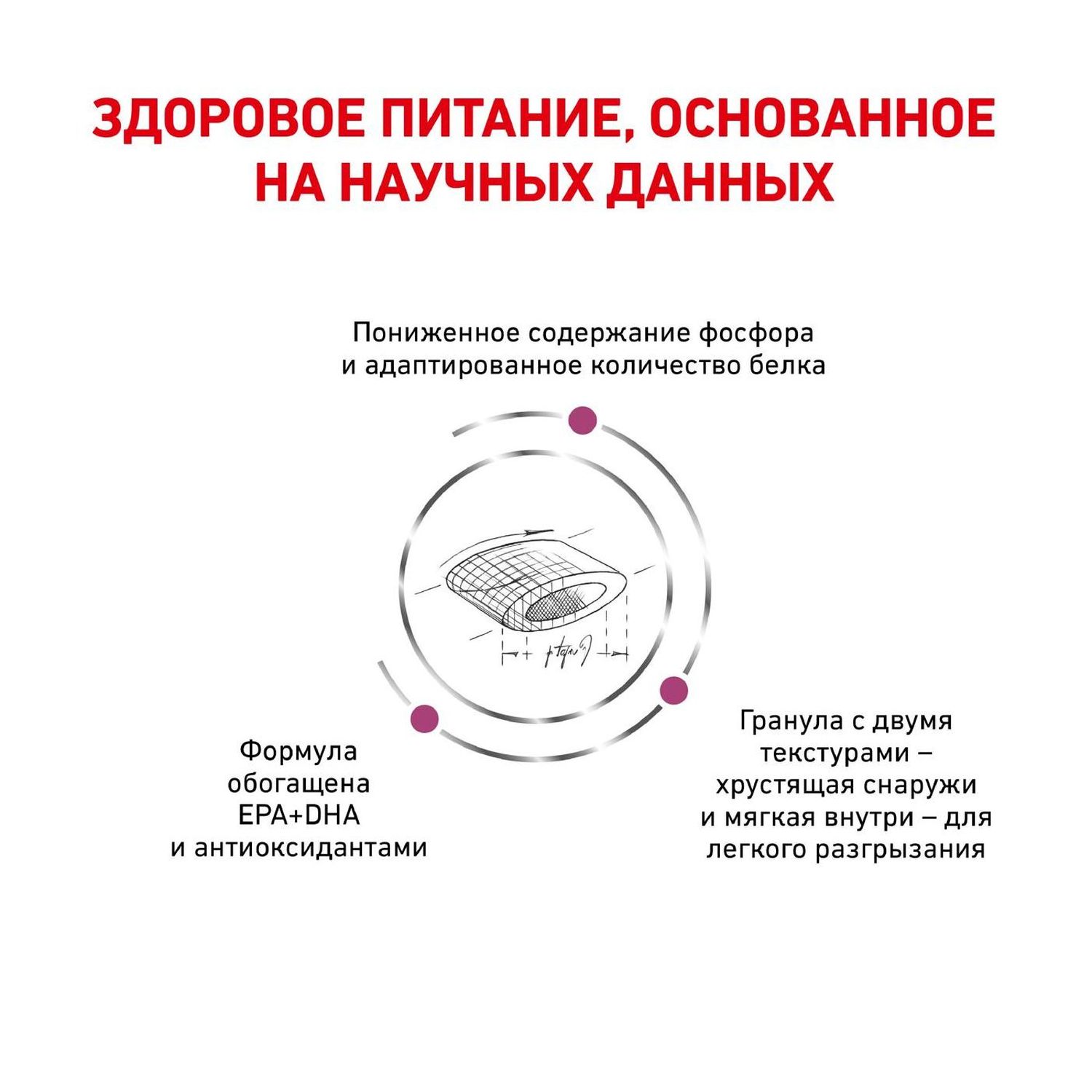 Корм для кошек ROYAL CANIN Renal Select при хронической почечной недостаточности 2кг - фото 4
