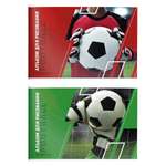 Альбомы для рисования SCHOOLFORMAT листов 40 формат А4 на скрепке Футбольные Победы мелованный картон