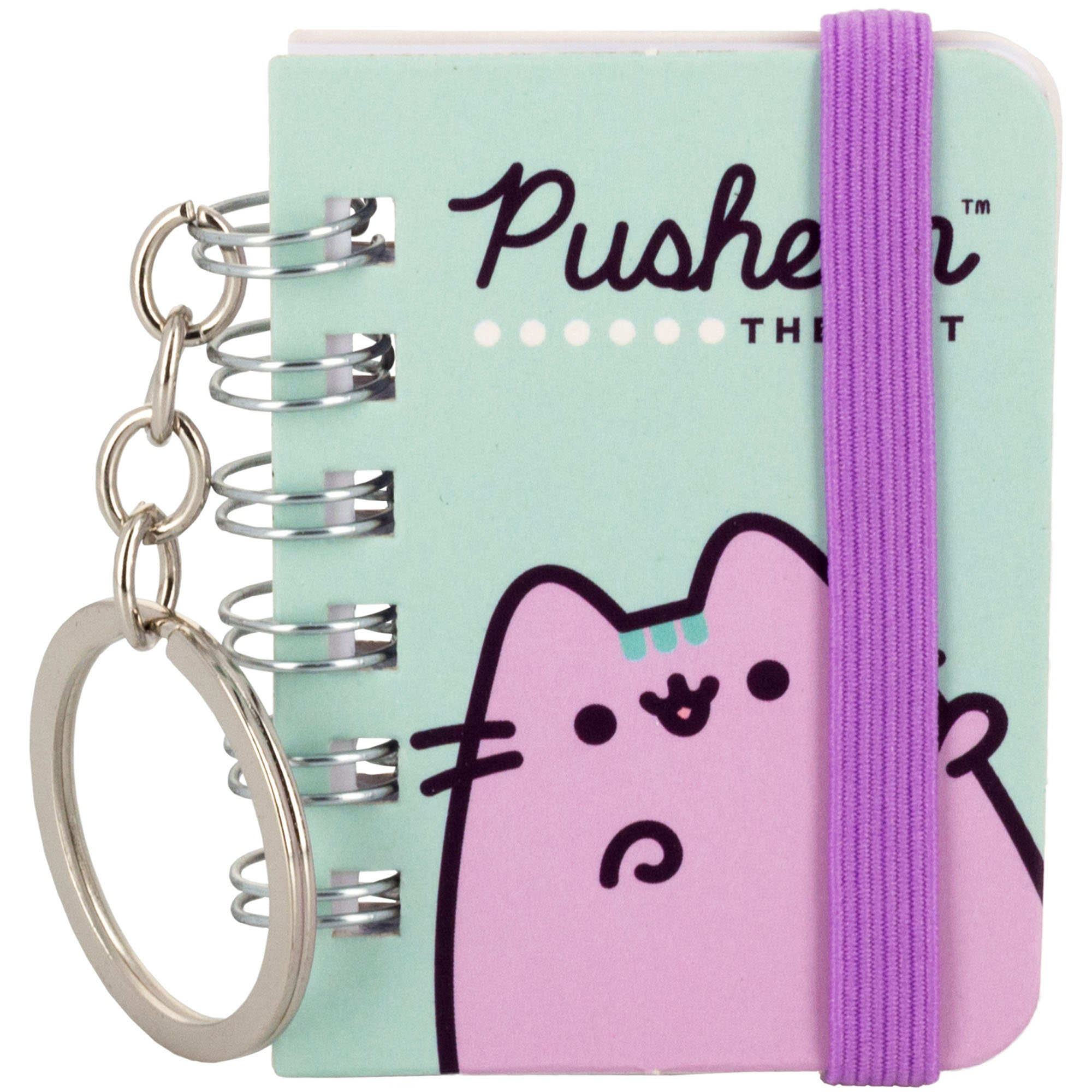 Блокнот Pusheen мини 40л PUIS-UA1-NBK-H1 - фото 1