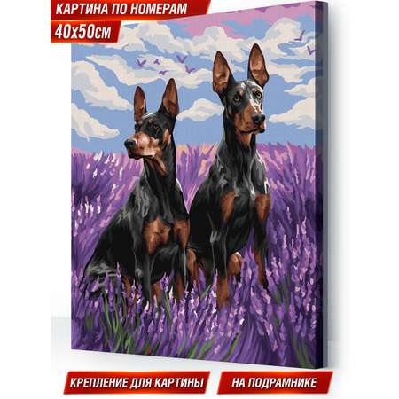 Картина по номерам Hobby Paint холст на подрамнике 40х50 см Крутой Пикачу