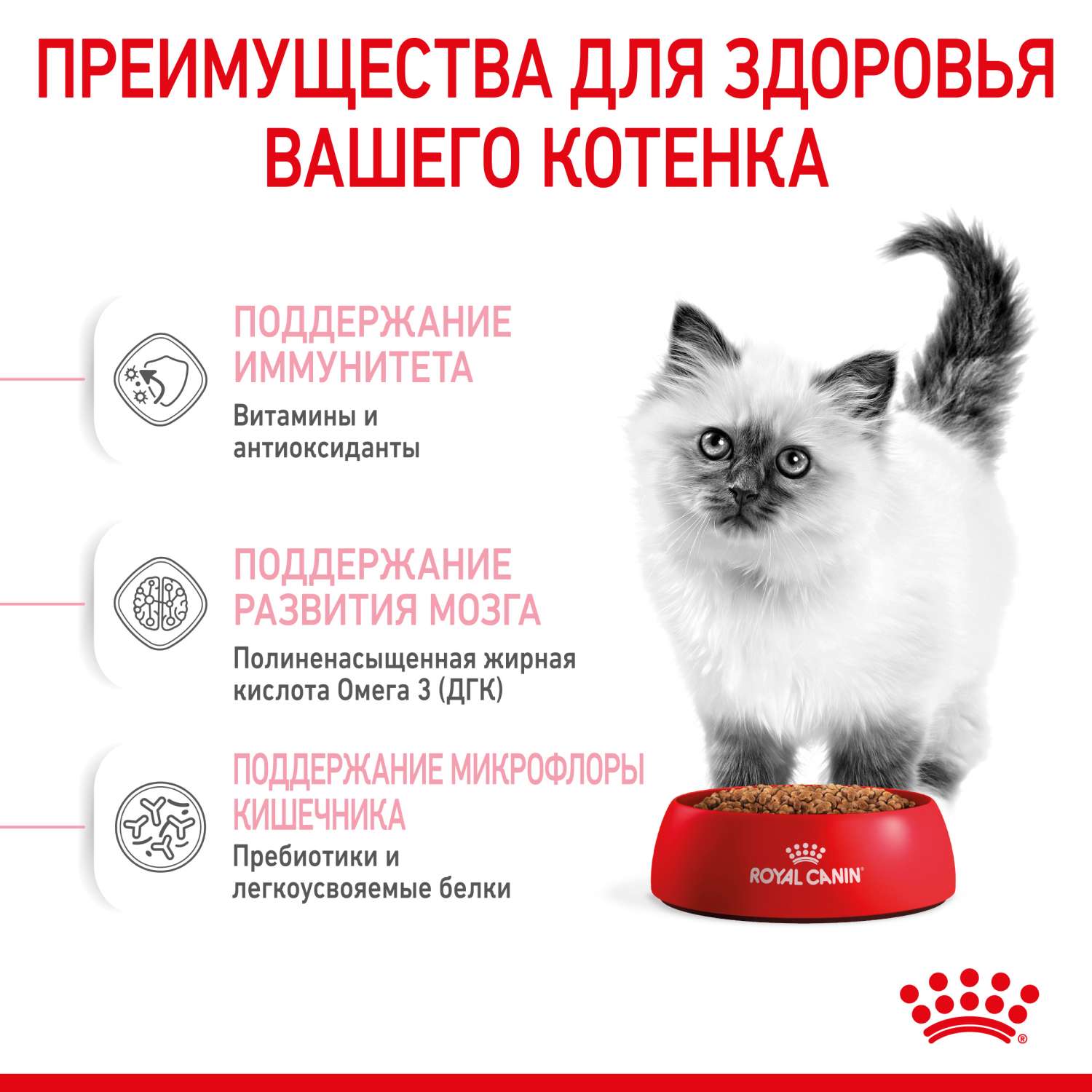 Корм сухой для котят ROYAL CANIN Kitten 1.2кг - фото 5