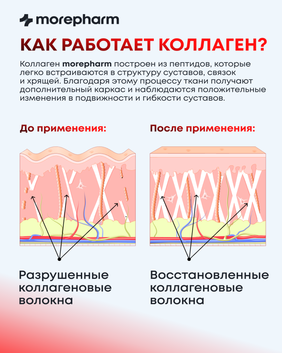 БАД morepharm Коллаген говяжий с витамином С для кожи и суставов - фото 10