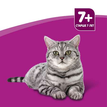 Корм влажный для кошек Whiskas 85г рагу с ягненком для пожилых пауч