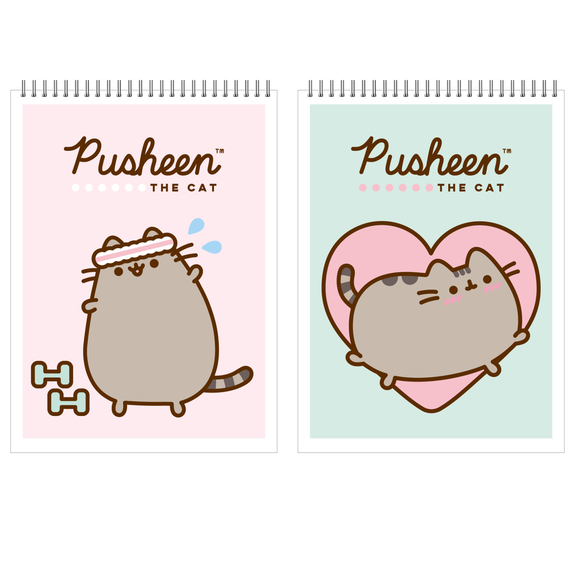 Блокнот Полиграф Принт Pusheen А7 Клетка 40л PS13/2 - фото 1