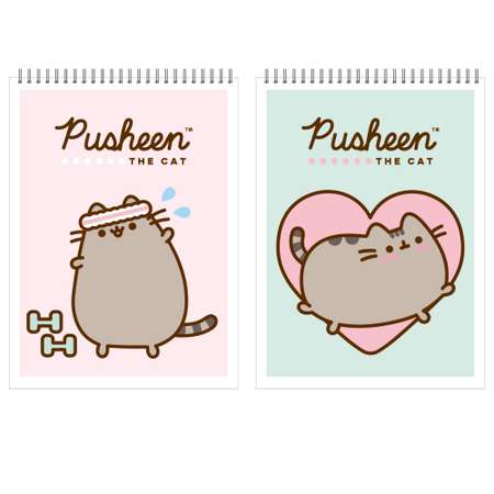 Блокнот Полиграф Принт Pusheen А7 Клетка 40л PS13/2