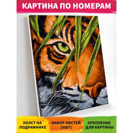 Картина по номерам Art on Canvas Тигриный глаз холст на подрамнике 40*50