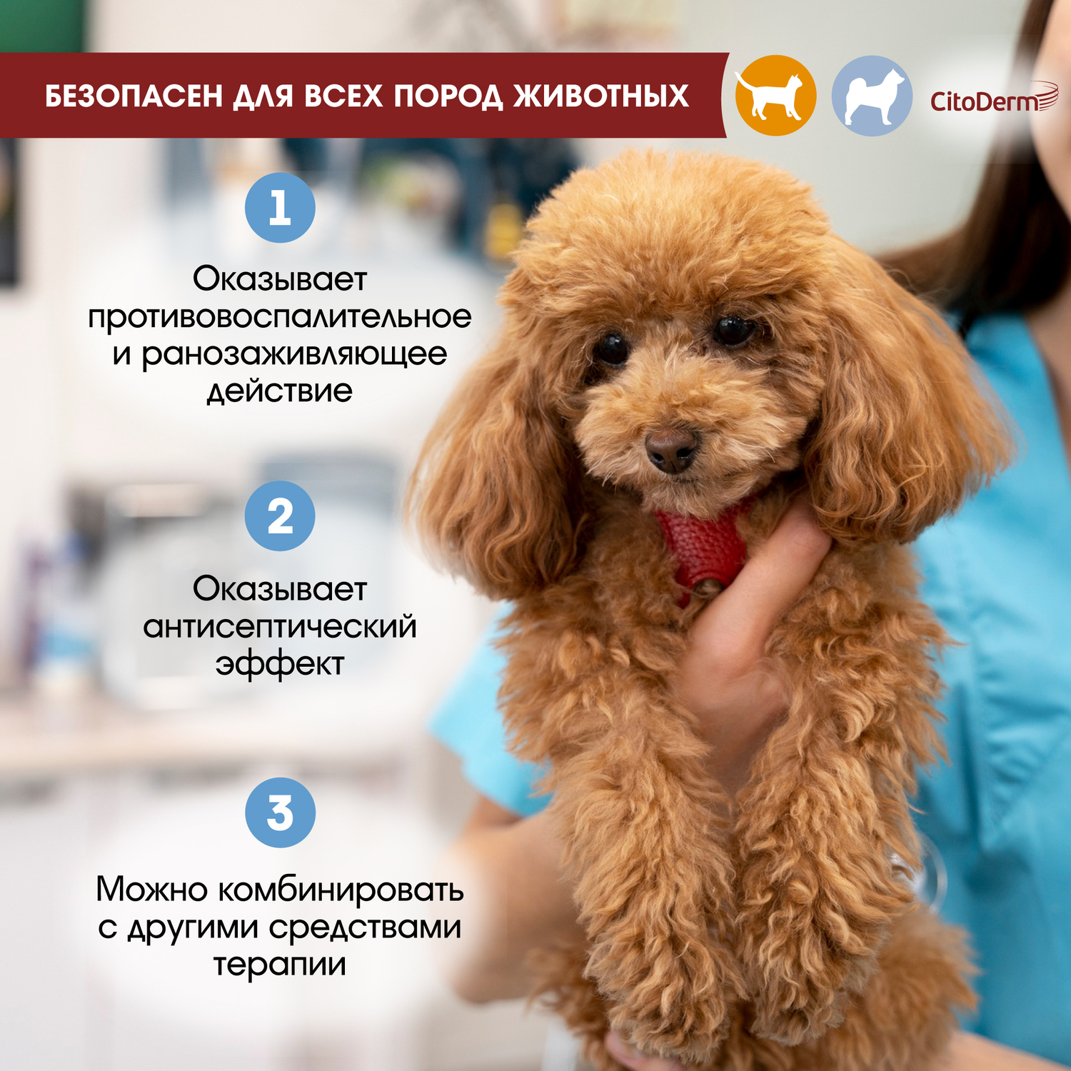 Шампунь для животных CitoDerm с хлоргексидином 200мл - фото 7