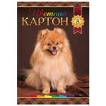 Набор цветного картона Hatber Милый щенок А4 8л 045585