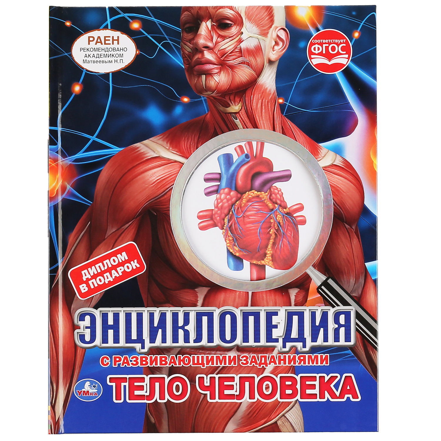 Книга УМка Тело человека - фото 1